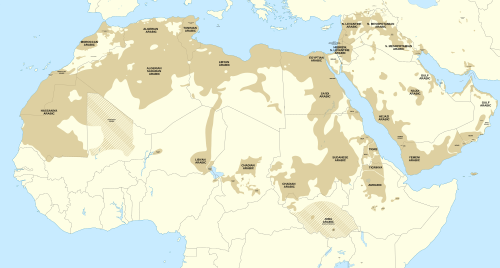 Semitic languages